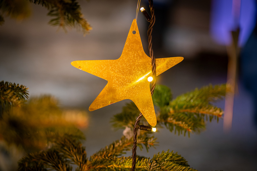 Lichterketten und Sterne auf den Christm?umen am Domplatz.