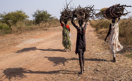 Menschen im Südsudan beim Holzsammeln / UN Photo / JC McIlwaine