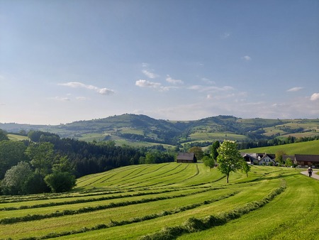 Gemähte Wiesen im Mostviertel