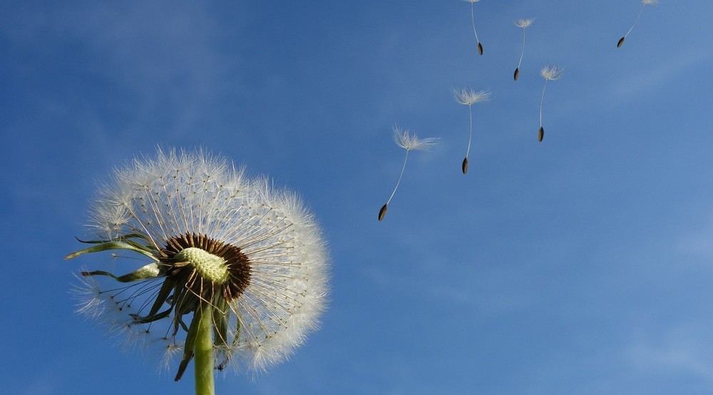 Theologe: In Kirchenkrise kann das Alte Testament Orientierung bieten / Image by Michael Schwarzenberger from Pixabay Theologe: In Kirchenkrise kann das Alte Testament Orientierung bieten