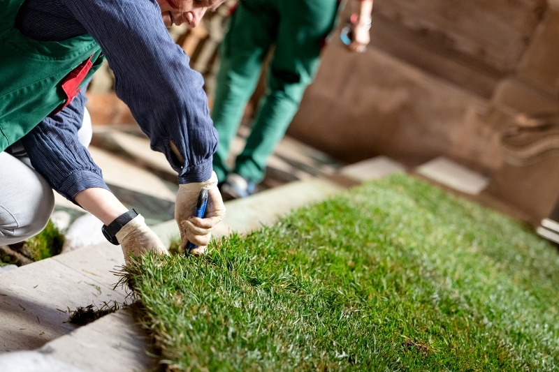 Rollrasen im Stephansdom verlegt / Schönlaub/EDW Premiere zu Ostern: Es wächst Gras im Wiener Stephansdom