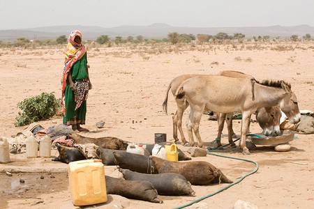 Betroffene der Dürrekrise in Äthiopien