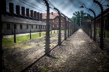 Bischof Elbs: Erinnern an Auschwitz muss weitergehen