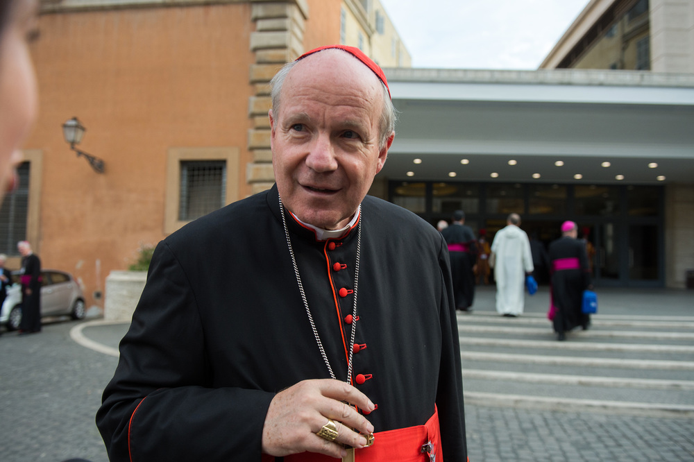 Kardinal Schönborn bei der Synode im Vatikan / Mazur/catholicnews.org.uk Kardinal Schönborn bei der Synode im Vatikan