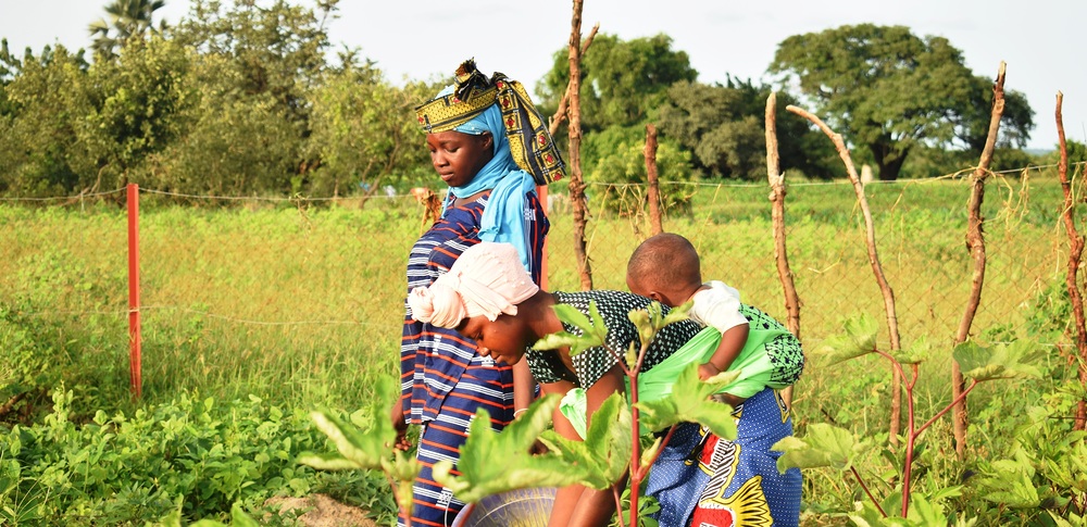 Gemeinschaftsgärten in Mali und Burkina Faso