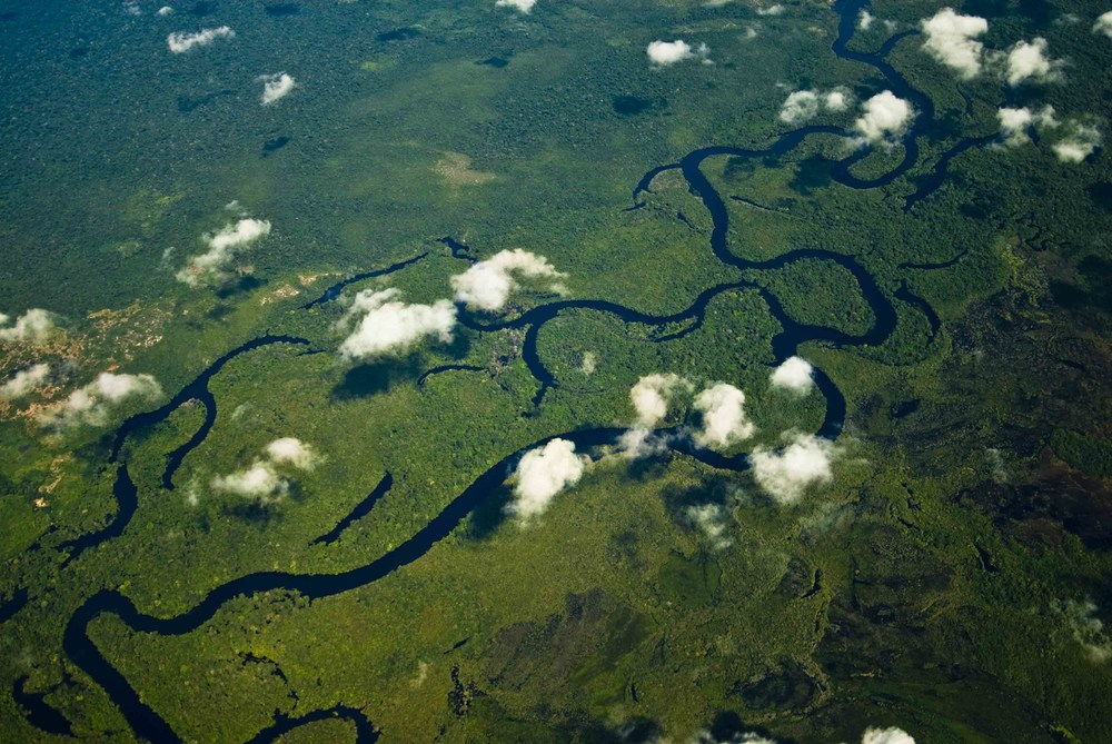 Der Widerstand gegen das vom brasilianischen Parlament verabschiedete Gesetz zur Vergabe von illegal besetztem Staatsland am Amazonas wächst. Umweltschützer halten das von der Agrarlobby durchgesetzte Gesetz für eine Bedrohung des Regenwaldes.Bild: