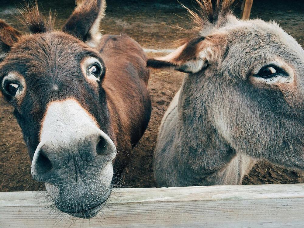 Caritas und Hilfswerke laden zu 'Schenken mit Sinn'