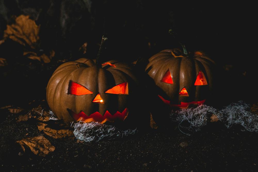 Kürbisse, Heilige, Halunken - Fragen und Antworten rund um Halloween